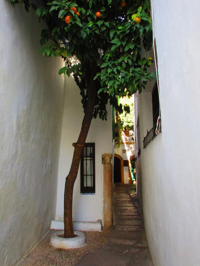 Cordoba Con Encanto Lubi I 외부 사진